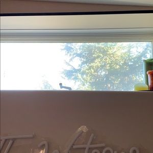 Meet your Posher, Ben